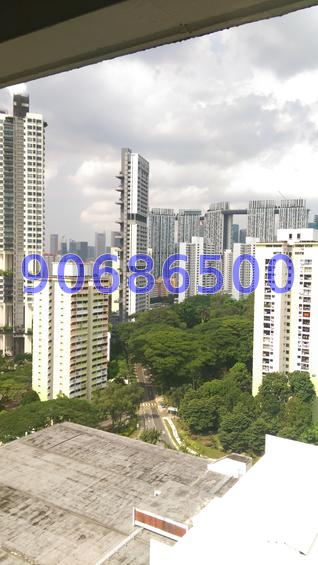 Spottiswoode Park (D2), Apartment #59520162